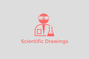 Scientific Technical Drawing Samples